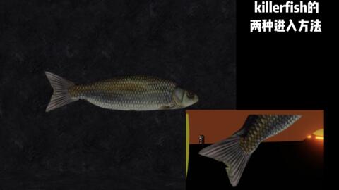 roblox slap battles killerfish房间的两种进入方法_哔哩哔哩_bilibili