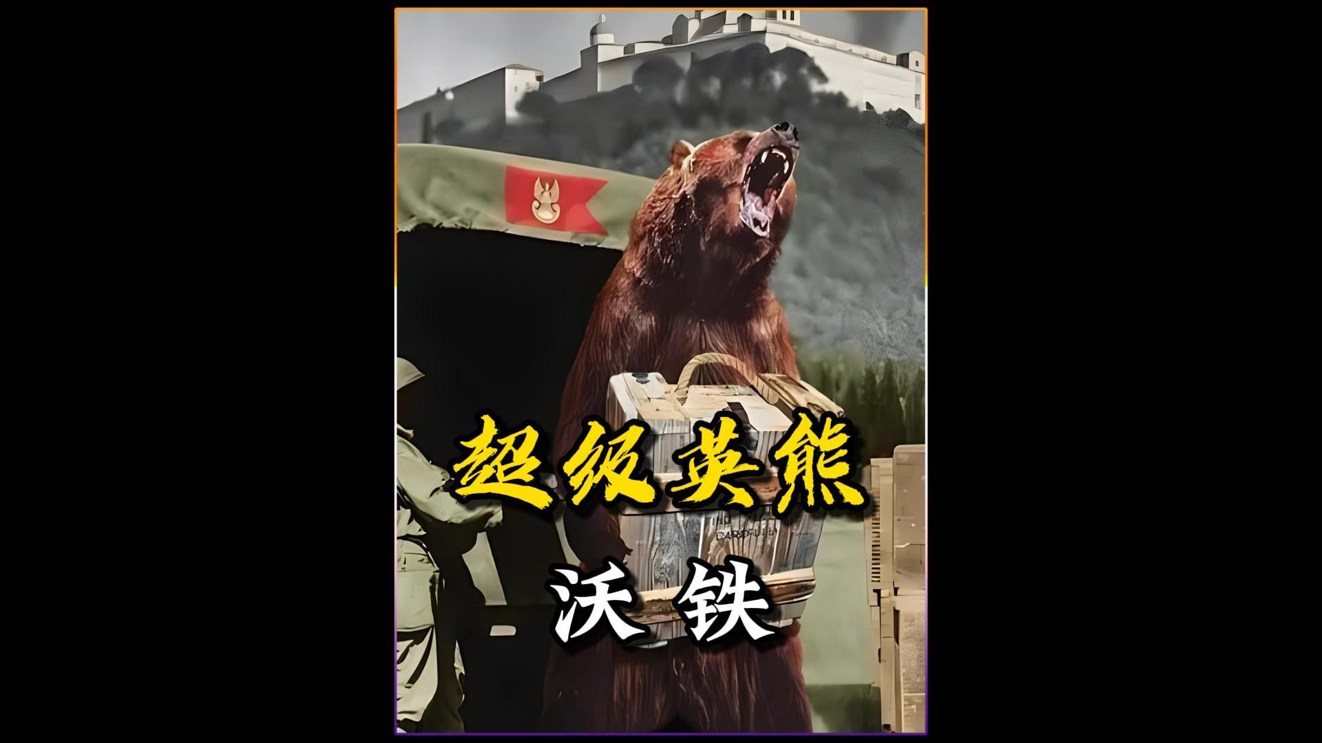 参加过二战的棕熊沃铁,在战斗时的传奇故事.