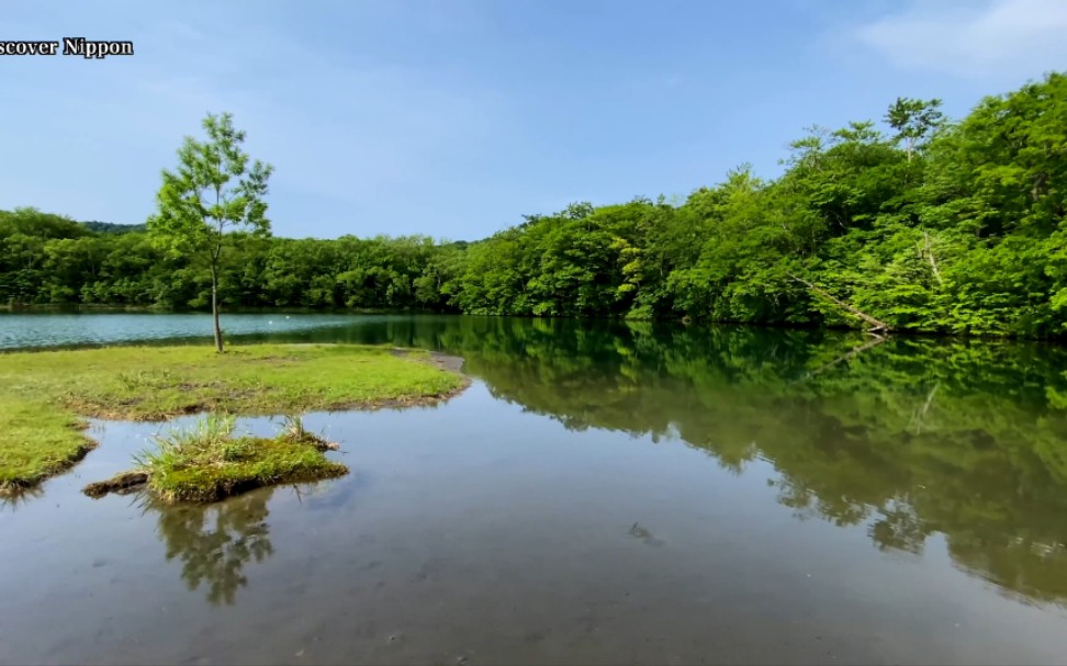4k 愈し 十和田湖の新绿 fresh green lake towada 観光 カヌー canoe