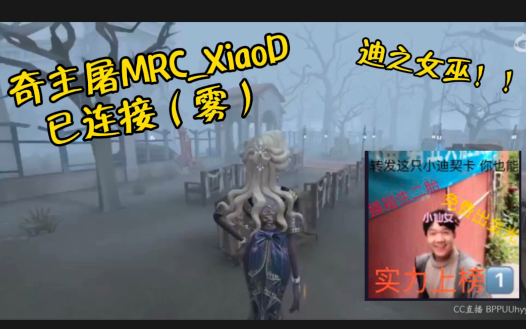 【小迪契卡】迪之屠夫海!