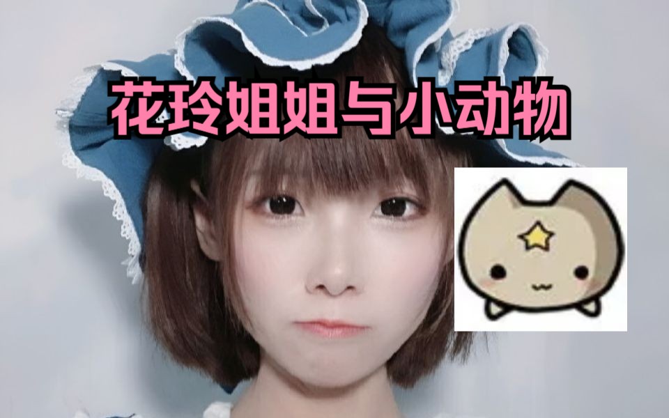 花玲姐姐到底有多喜欢小动物?(小动物合集)