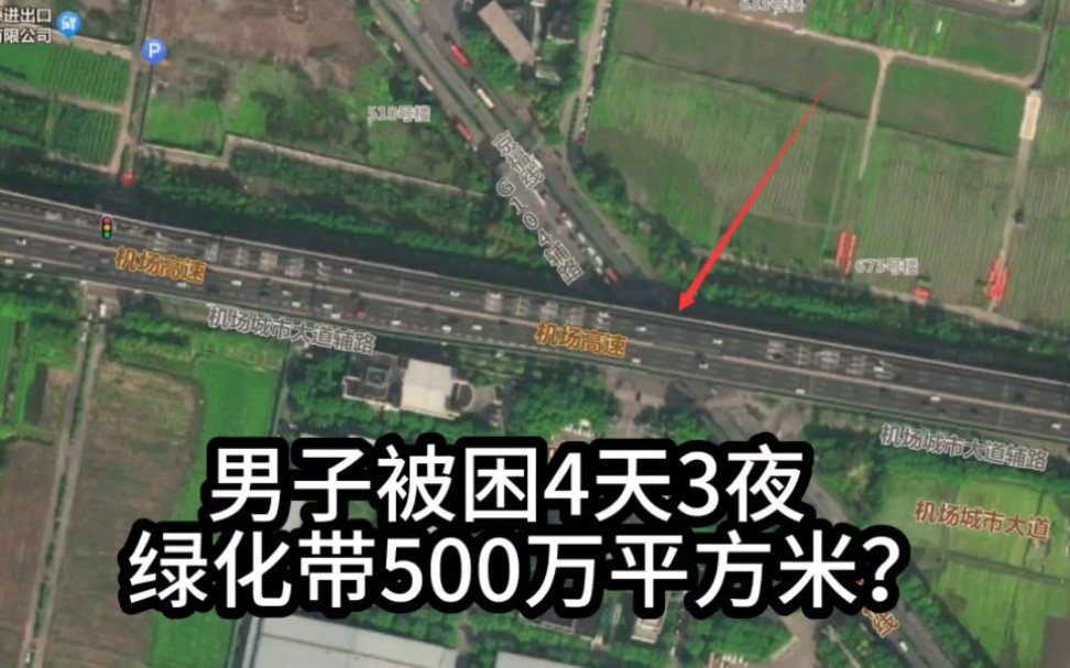 杭州男子在绿化带迷路被困4天3夜,绿化带在哪?有500万平方米?哔哩哔哩bilibili