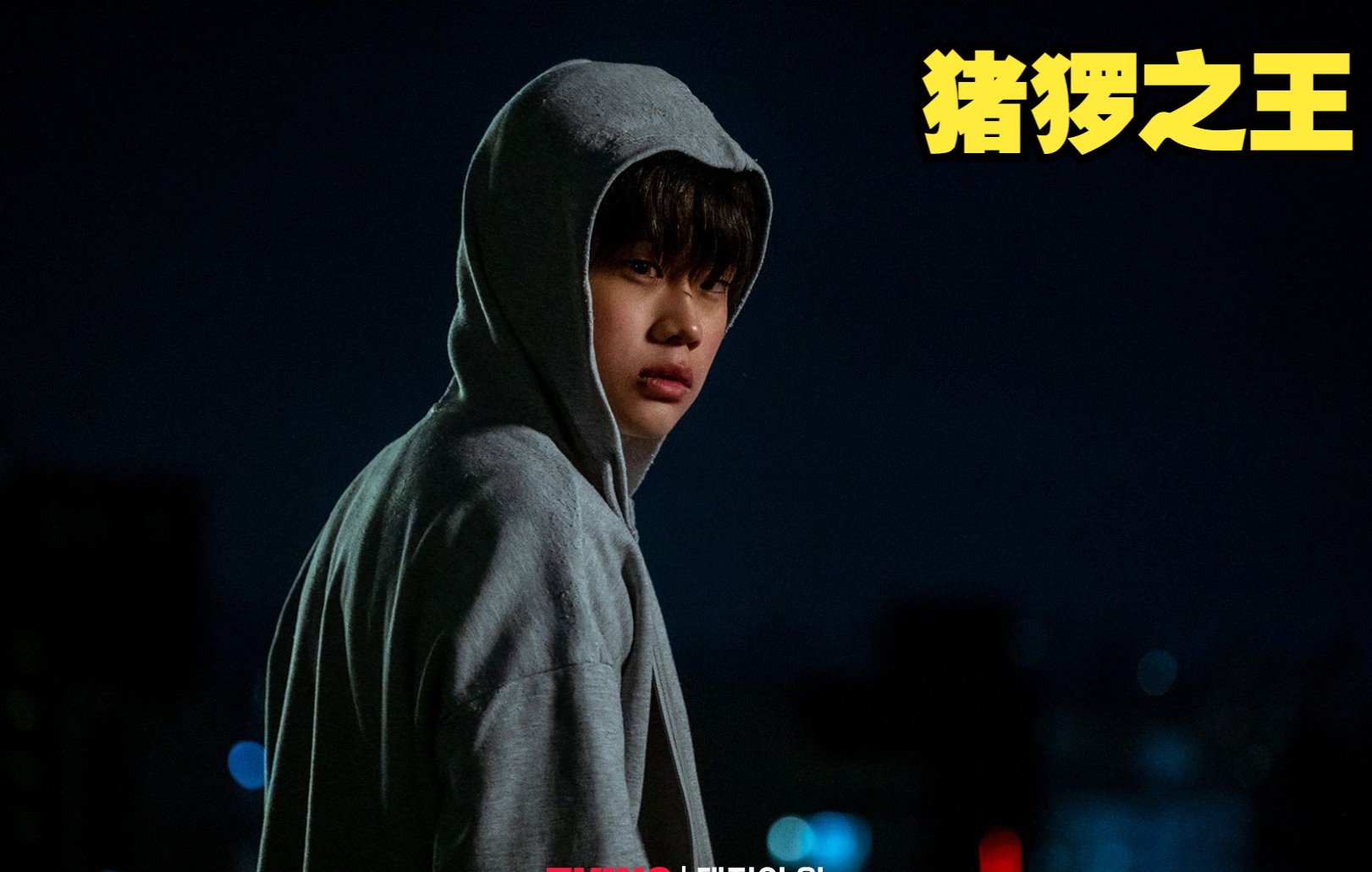 一口气看完复仇韩剧猪猡之王