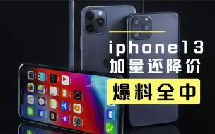 Descargar video: iphone13 - 爆料全中，真香旗舰无疑，加量还降价