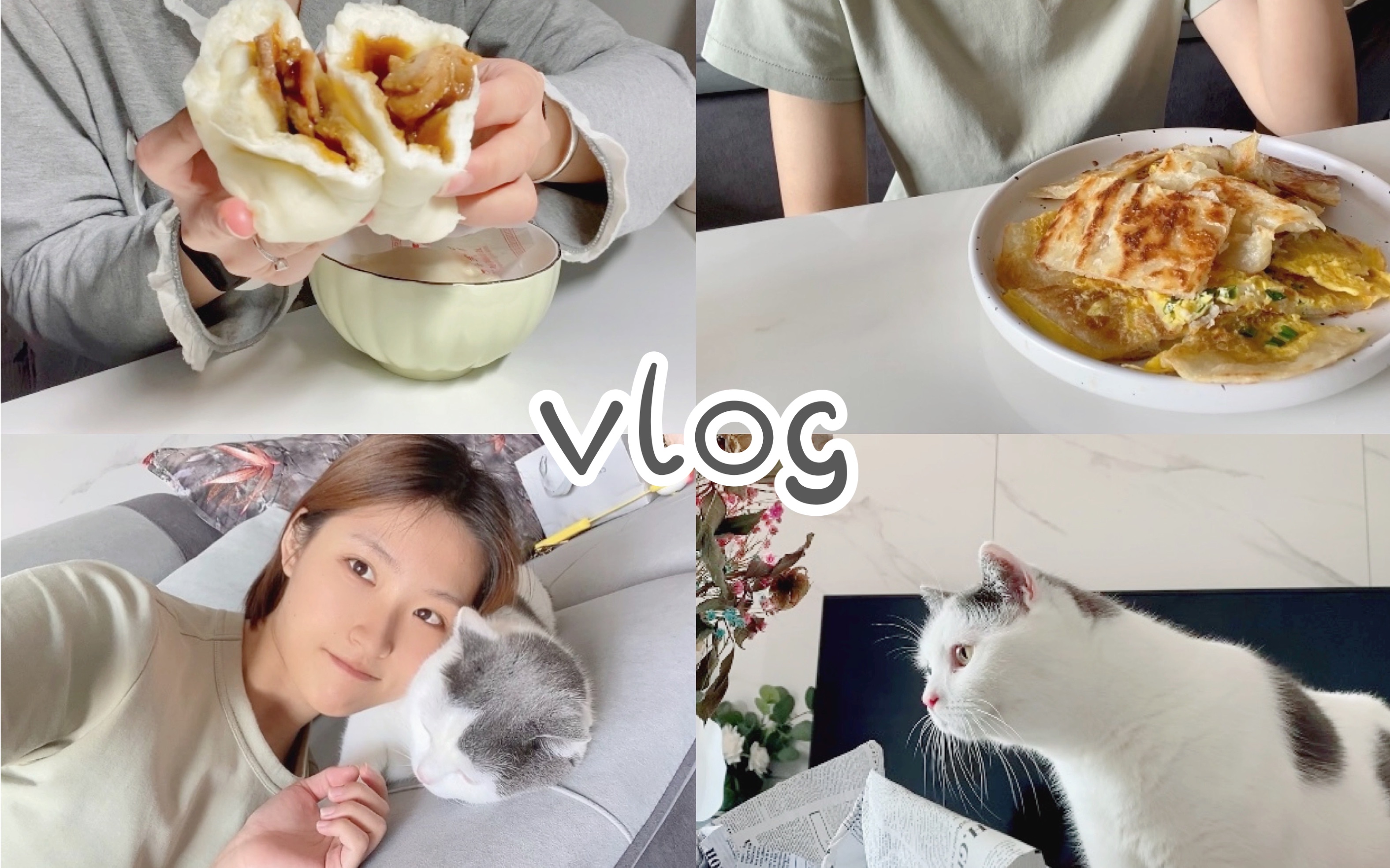 一日vlog|居家隔离日记 做手抓饼 整理干花哔哩哔哩bilibili