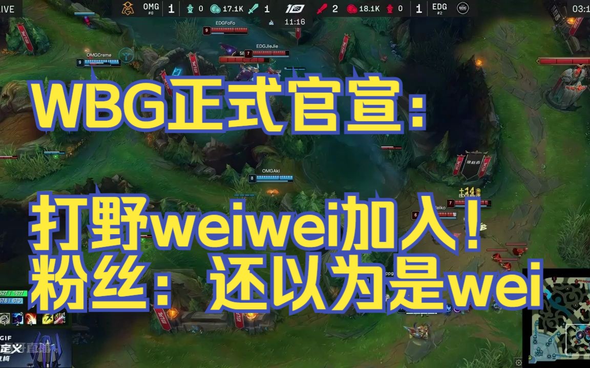 WBG正式官宣:打野weiwei加入!粉丝:还以为是wei电子竞技热门视频