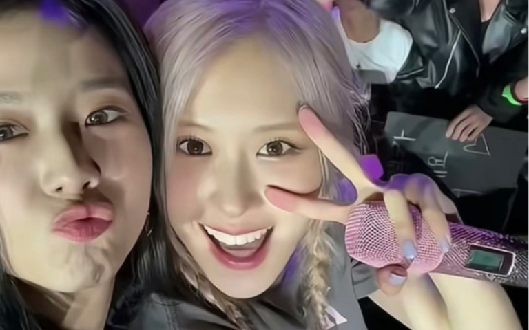 【酥肉cp】今天是盯智秀与害羞小狗朴彩英!