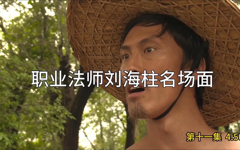 职业法师刘海柱名场面合集_哔哩哔哩_bilibili