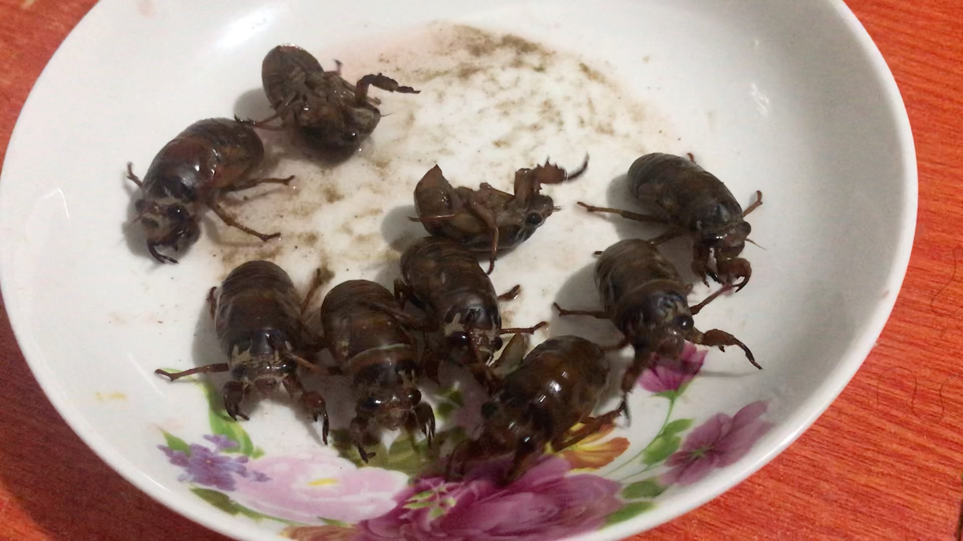 截留龟儿_哔哩哔哩 (゜-゜)つロ 干杯~-bilibili