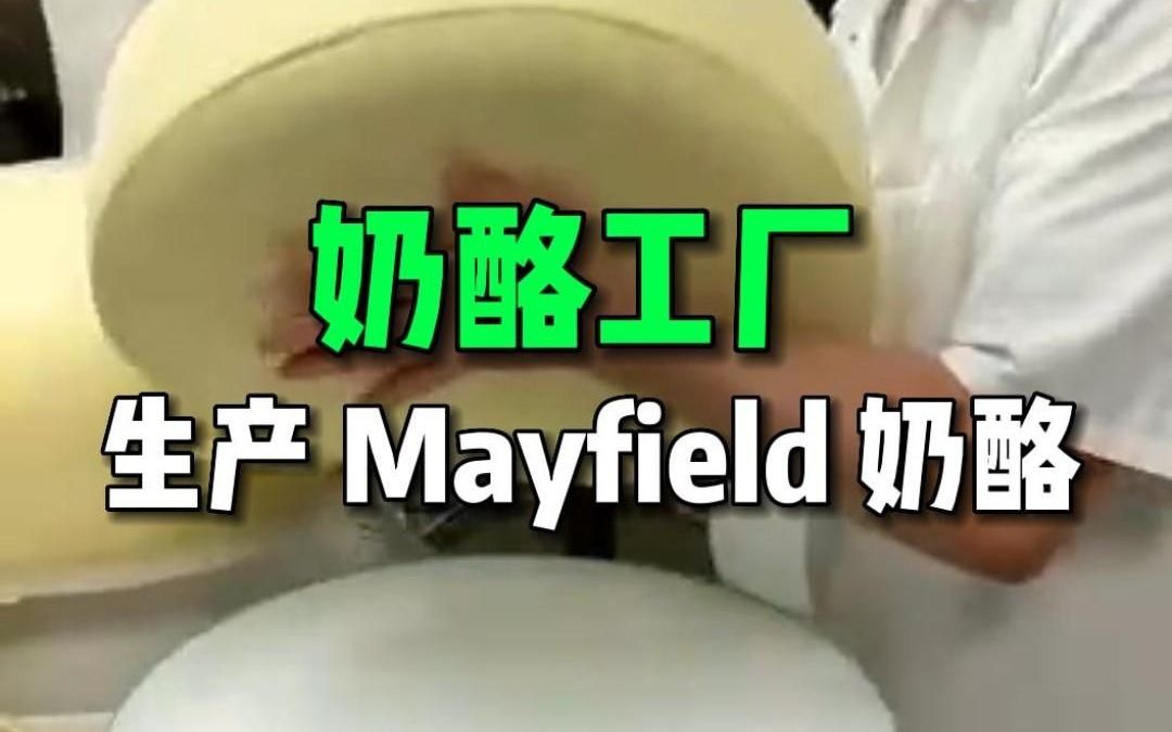 来自英国,Mayfield 奶酪工厂~哔哩哔哩bilibili