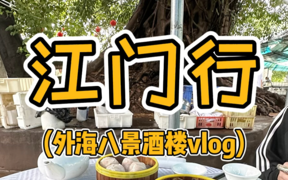 江门行之外海八景早茶vlog哔哩哔哩bilibili