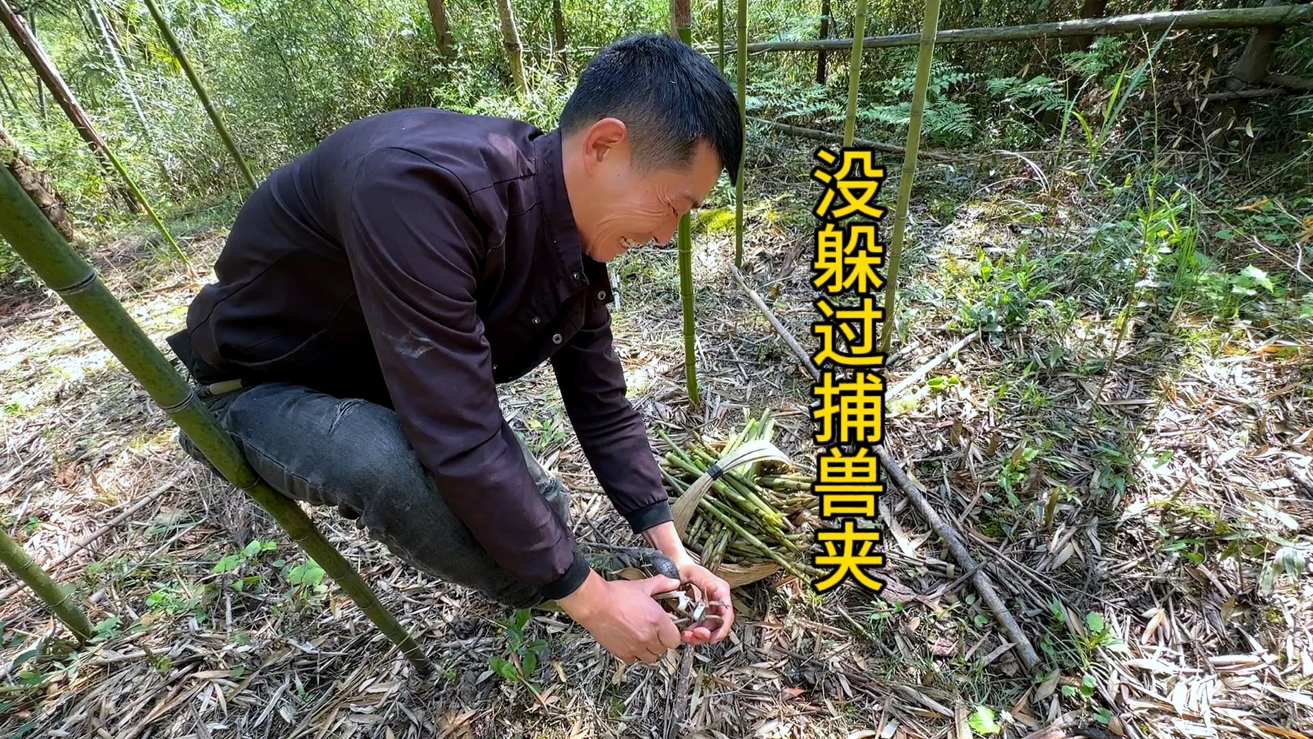 最终没逃过被捕兽夹夹住的命运,不过凉拌野竹笋真的太好吃了哔哩哔哩bilibili