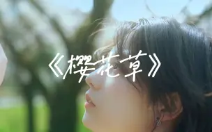 Download Video: 《樱花草》恋人手中樱花草 春在漫步的微笑