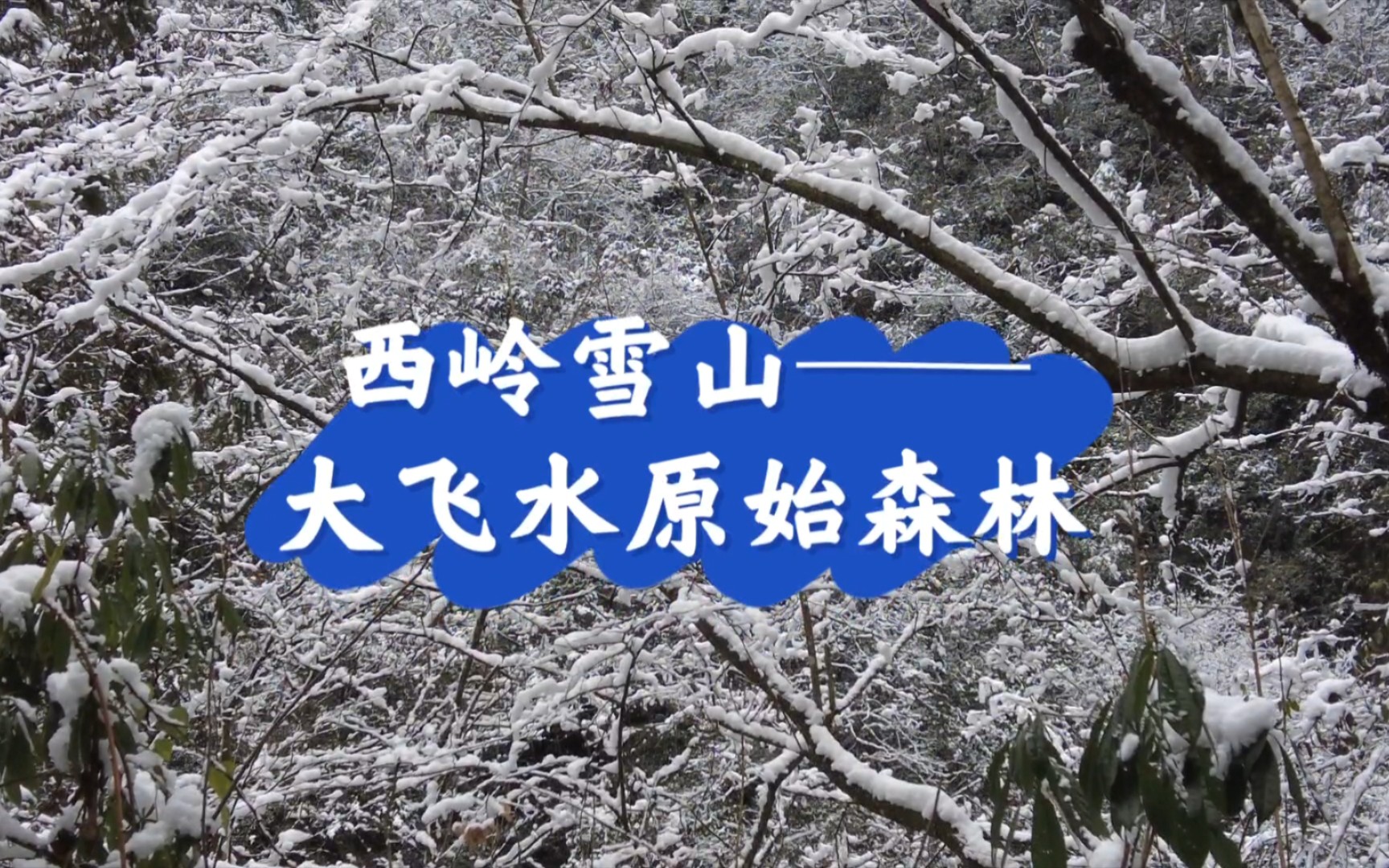 春节赏雪——带你走进西岭雪山大飞水原始森林景区!哔哩哔哩bilibili