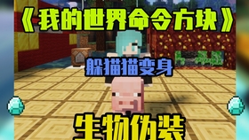 Minecraft我的世界 铁战士1 16 2命令方块小指令第三十三期 哔哩哔哩 つロ干杯 Bilibili