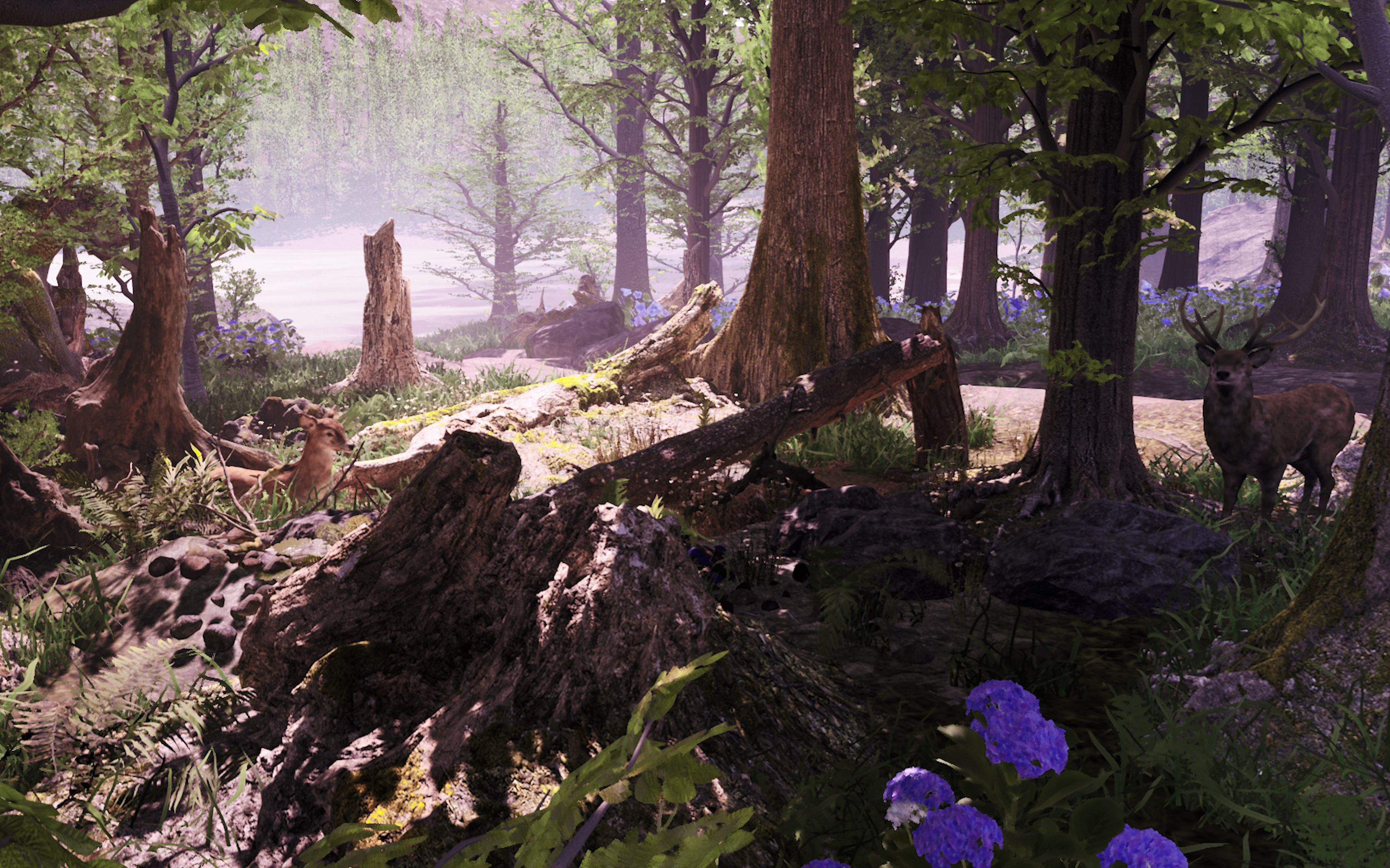 ue4小白五天短期森林场景练习作品