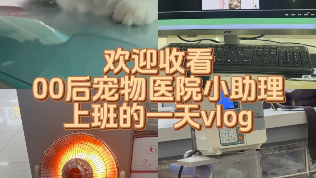 流水账工作日常vlog哔哩哔哩bilibili