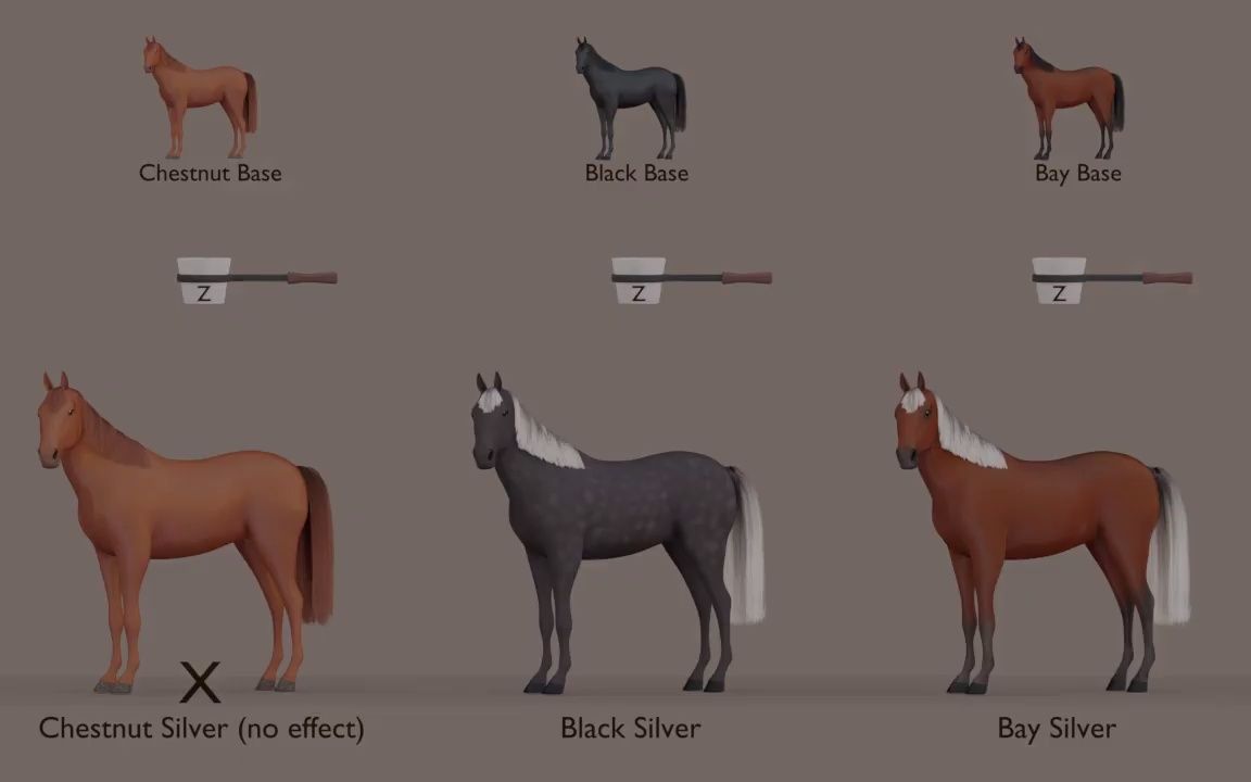 [图]马匹基因树 A马 x B马 = ？ Equine Silver dilution gene