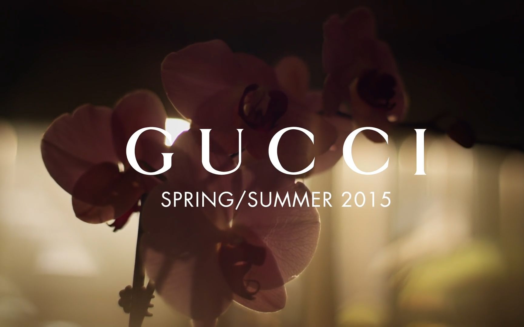 【时尚 | gucci】2015春夏系列广告_哔哩哔哩 (゜-゜)つロ 干杯~-bili