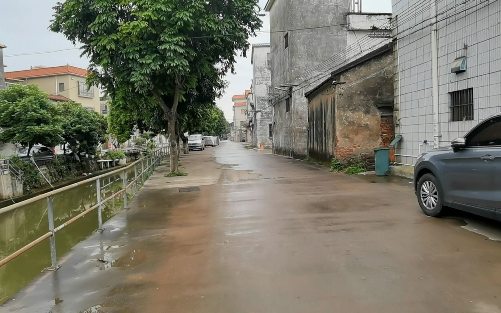 活动  佛山市顺德区均安镇天连村南滘南路河岸风景