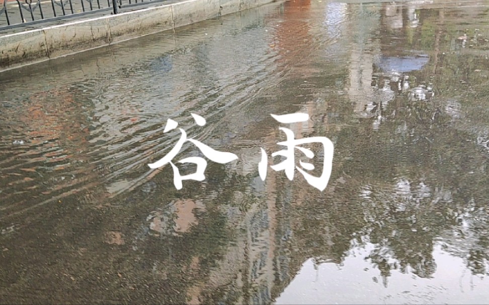 [图]谷雨春光晓，山川黛色青~