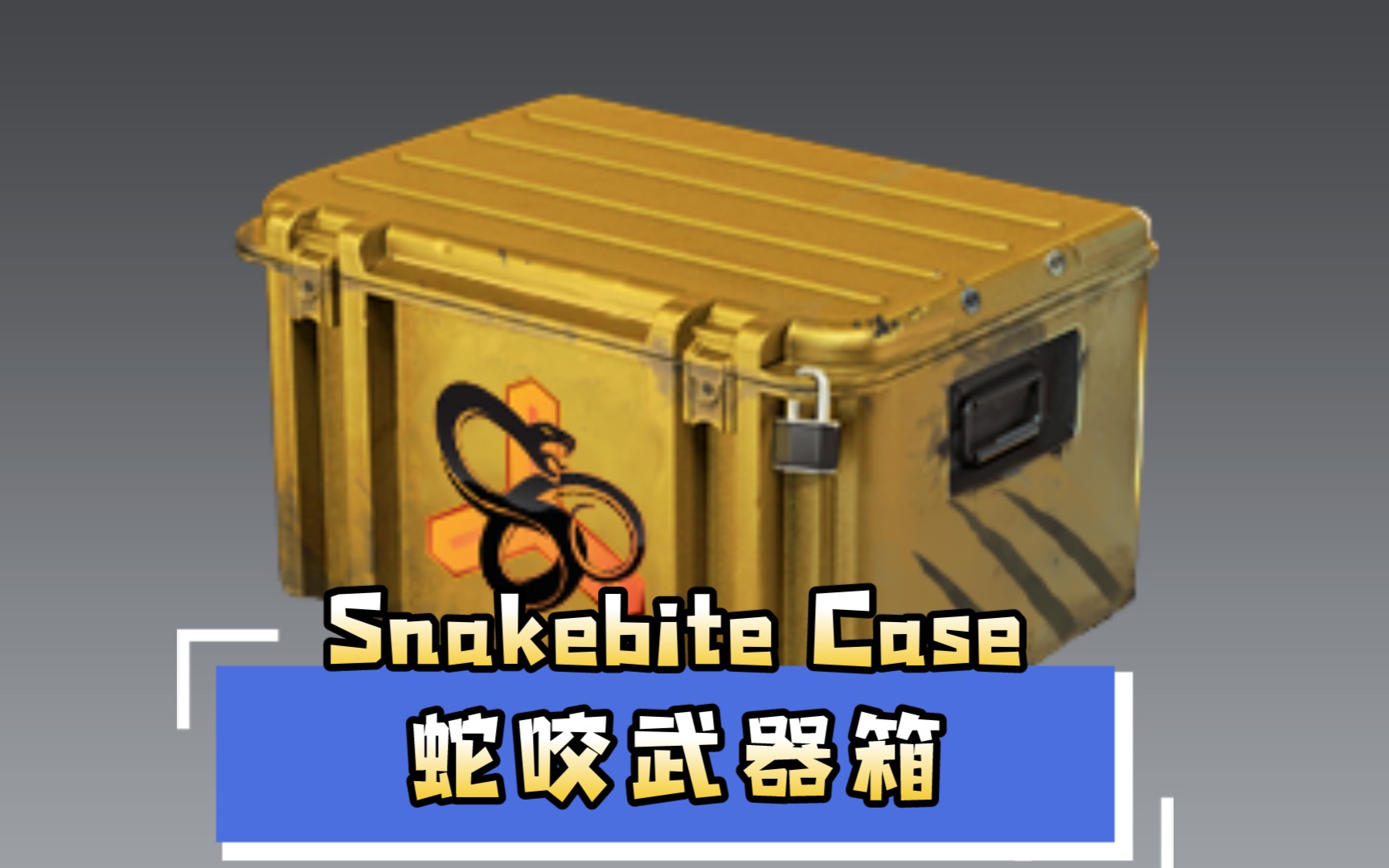 新武器箱snakebitecase的简单获取方式教学同样适用于得满每周3箱з