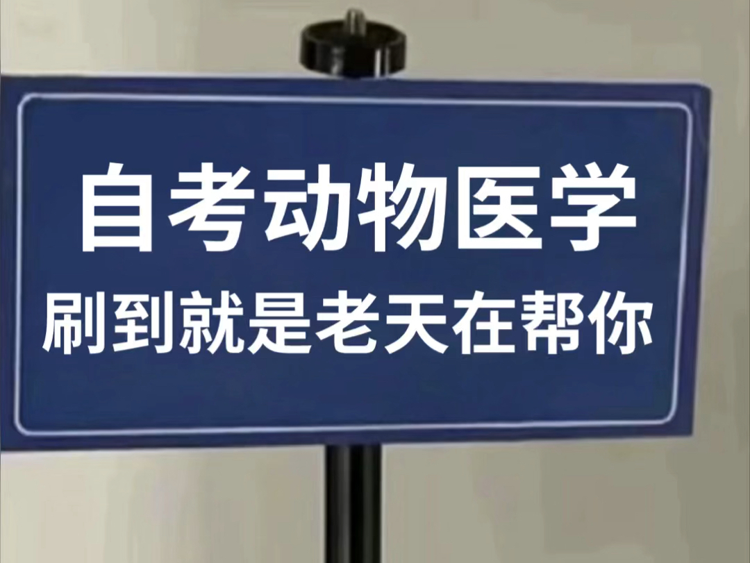 打破信息闭塞,自考动物医学的姐妹一定要看哔哩哔哩bilibili