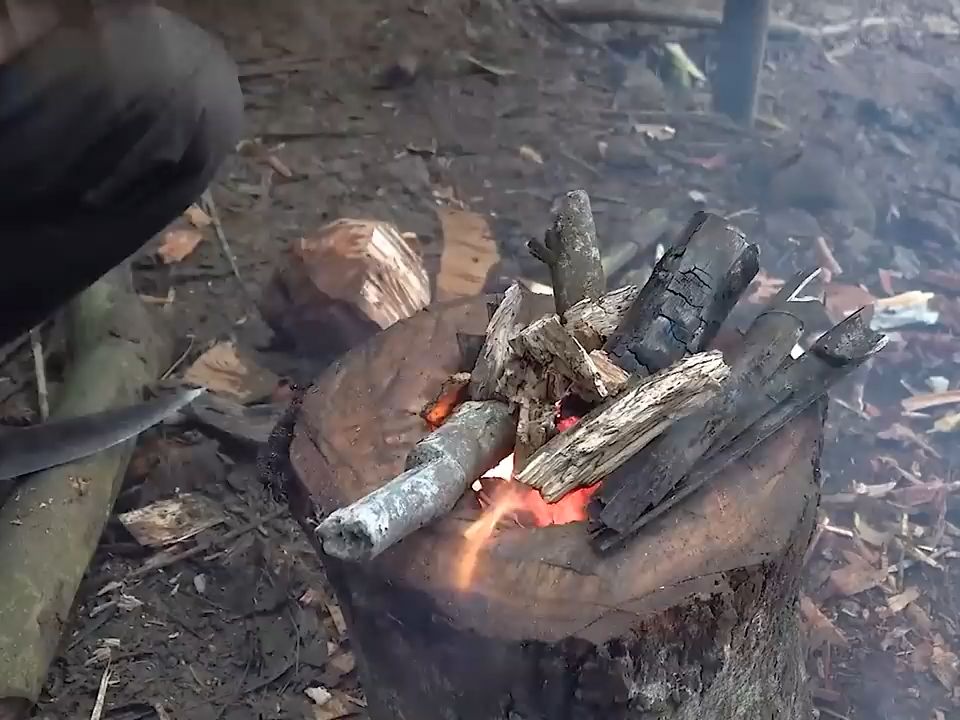 越南小黑荒野求生图片