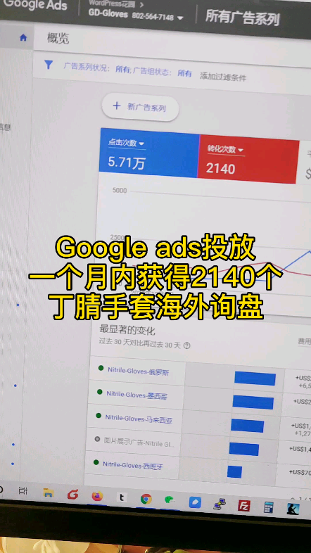 丁腈手套独立站一个月获得2140个询盘!哔哩哔哩bilibili