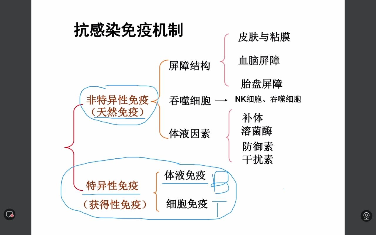 [图]微生物与免疫(六)