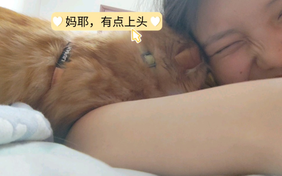 [图]见过吸人吸疯了的小猫咪吗，我家猫疯了……