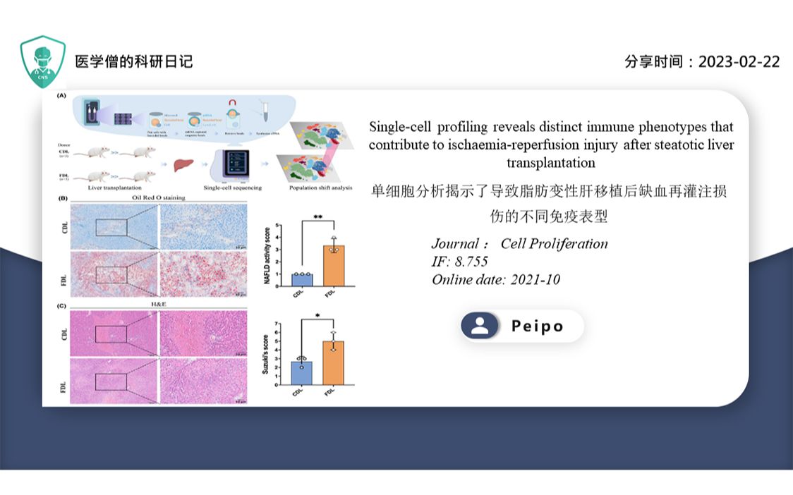 [图]单细胞分析揭示了导致脂肪变性肝移植后缺血再灌注损伤的不同免疫表型