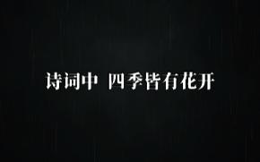 “香倚黄花岸,心清白露秋.”|诗词中,四季皆有花开.哔哩哔哩bilibili