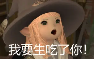 Download Video: FF14 惹怒母肥的后果