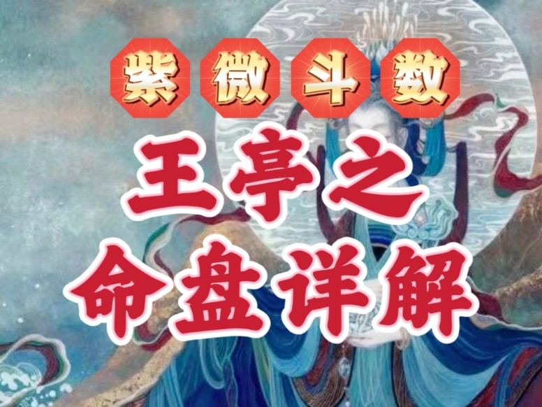 紫微斗数大师:王亭之命盘详解.紫微斗数与八字案例讲解.武曲七杀,廉贞破军,天府天相,天机巨门,天同天梁,太阳太阴.哔哩哔哩bilibili