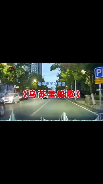 經典老歌《烏蘇裡船歌》電子琴純音樂重低音dj完整版帶字幕,聽著音樂