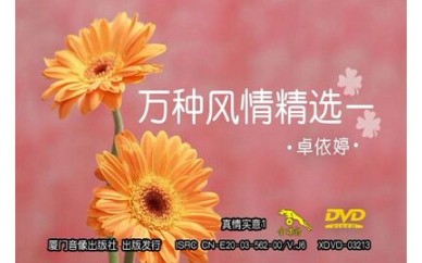 我有一段情哔哩哔哩bilibili