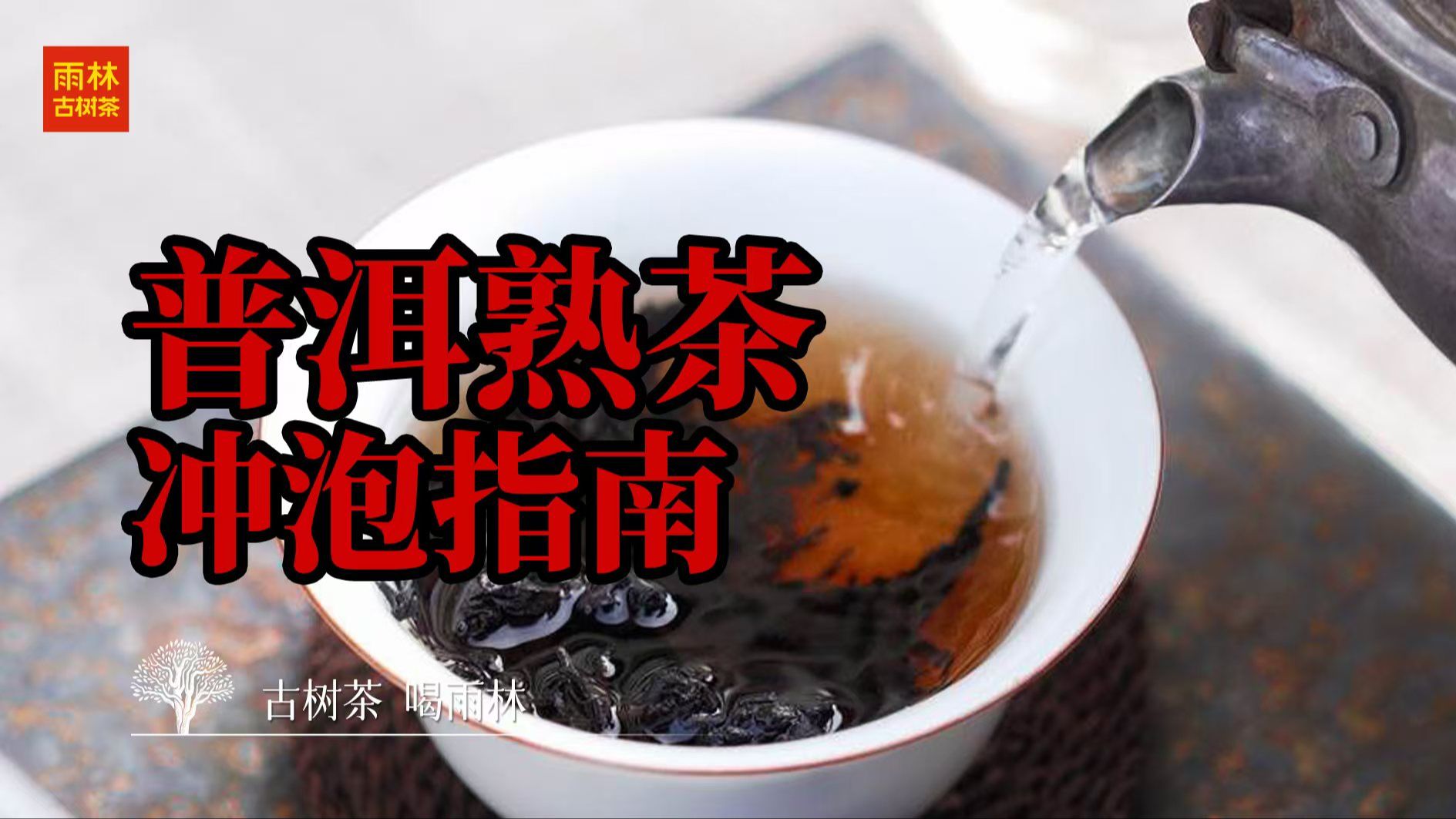 普洱熟茶不会泡?快收下这份冲泡指南,帮你轻松抓住熟茶冲泡关键点!哔哩哔哩bilibili