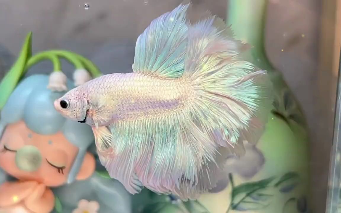 穿婚纱的仙女鱼——迪士尼主题曲mv