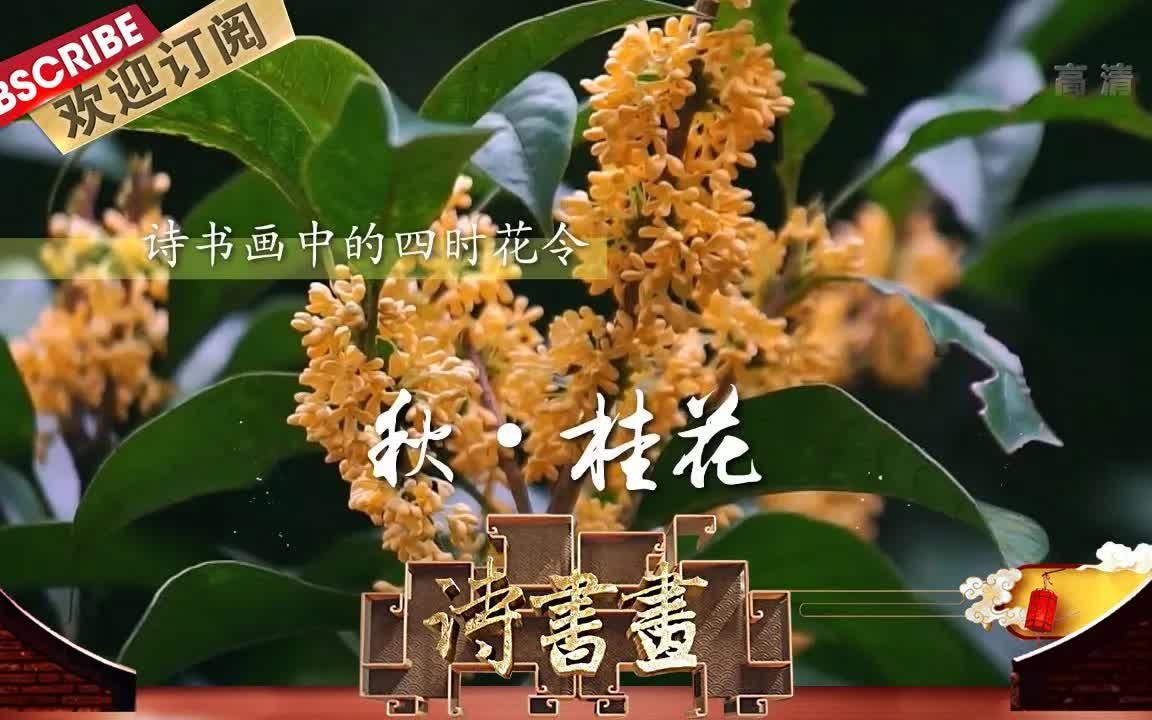 [图]【诗书画】第260期 四时花令·秋·桂花 《忆江南词三首》（其二）唐·白居易 《桂菊山禽图》明·吕纪