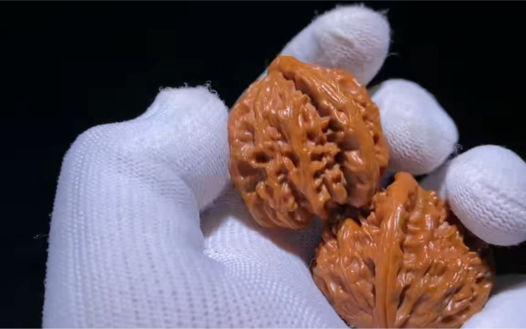 【野生 大沽石】纯野生大沽石狮子头.