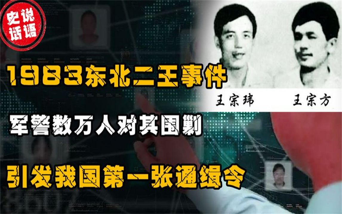 [图]1983东北二王事件，抽调数万解放军武警抓捕，震惊全国引发整治