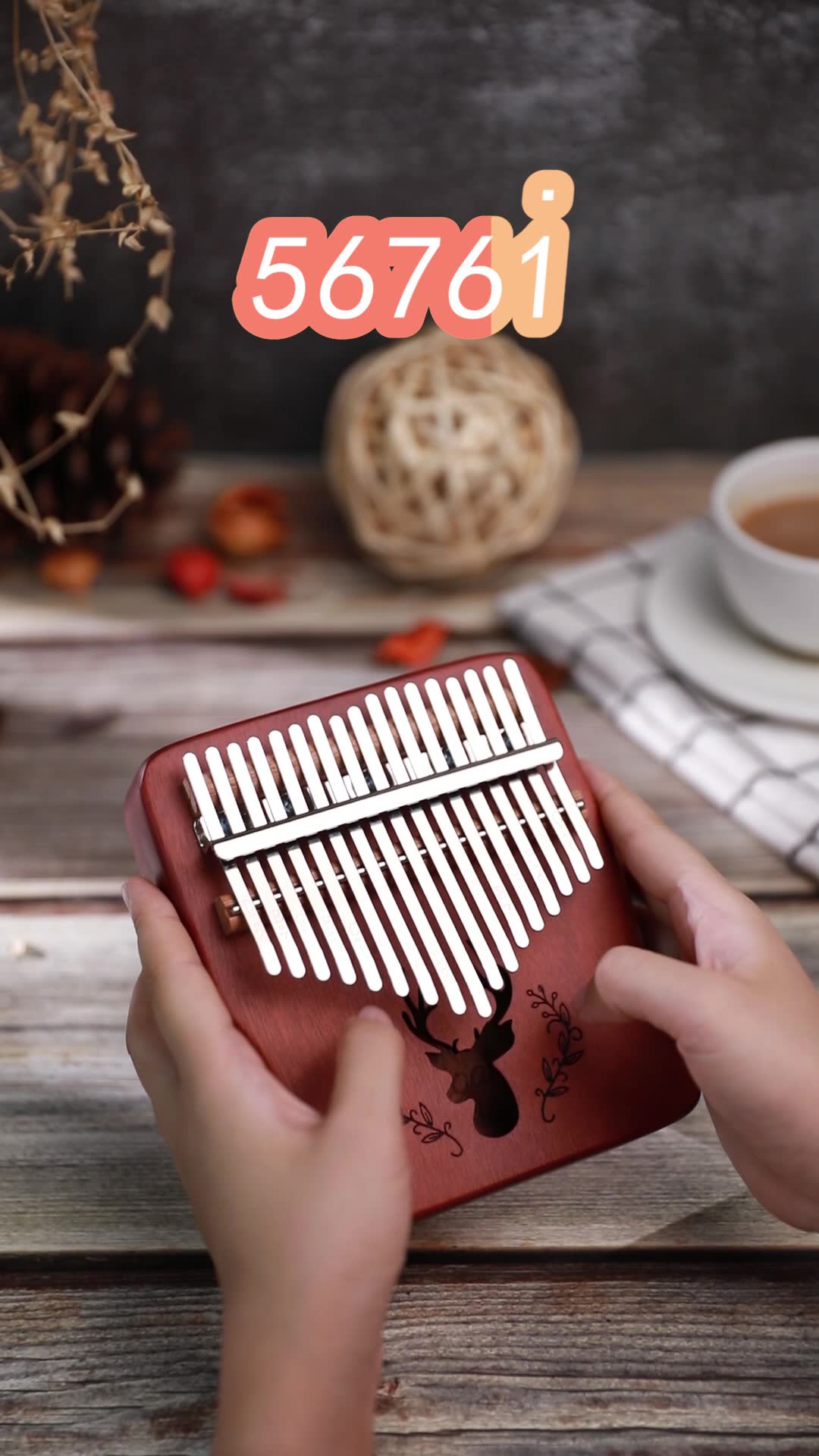 乐器双指琴看不拇指琴赤伶演奏弹奏曲谱跟学教学示范