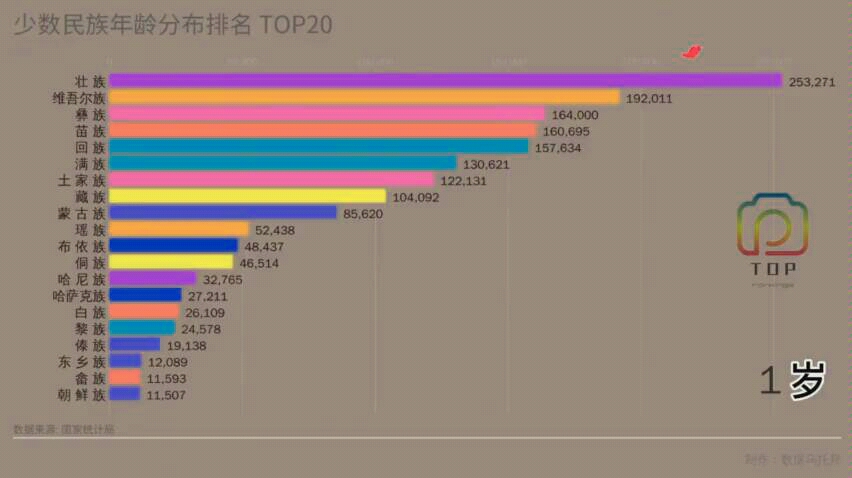 中国少数民族年龄分布与人数TOP20排名哔哩哔哩bilibili