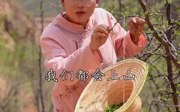 你来过陕北吗?你喝过陕北的酸枣芽茶吗哔哩哔哩bilibili