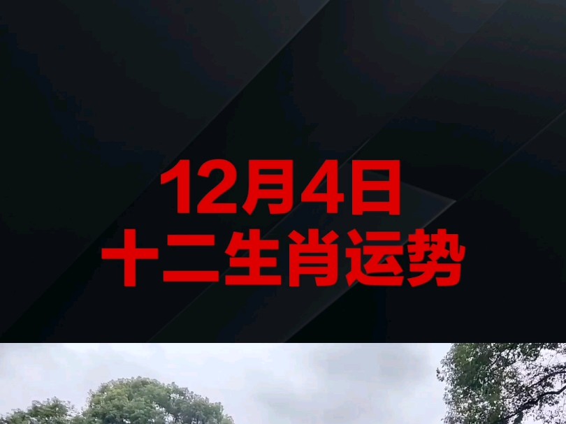 分享明日12月4日星期三,十二生肖运势(个人观点仅供娱乐参考)哔哩哔哩bilibili