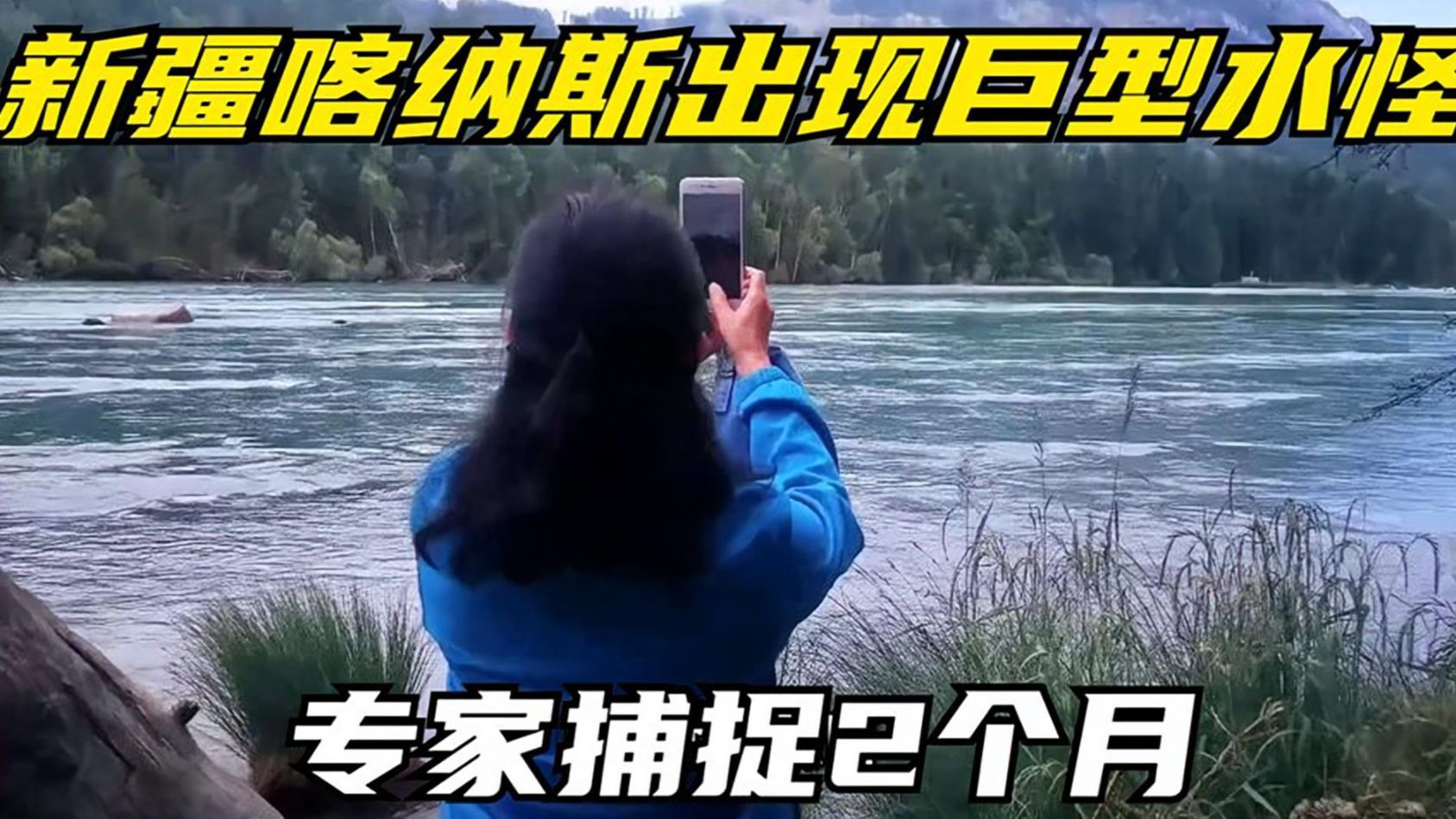 新疆喀纳斯湖中出现"巨型水怪",专家捕捉两个月,还真的抓到了