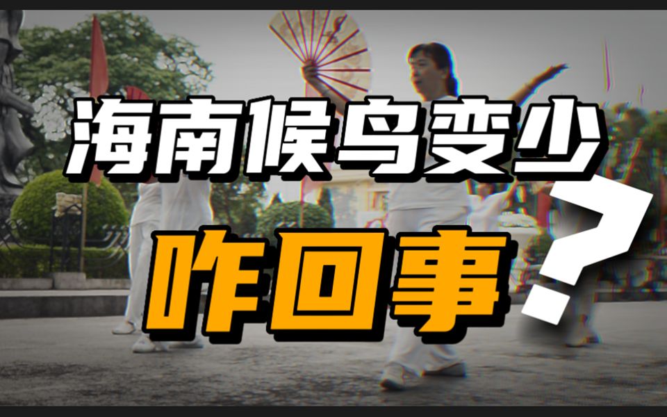 海南建设国际旅游岛13年了,才发现不适合养老,候鸟们都去了哪?哔哩哔哩bilibili