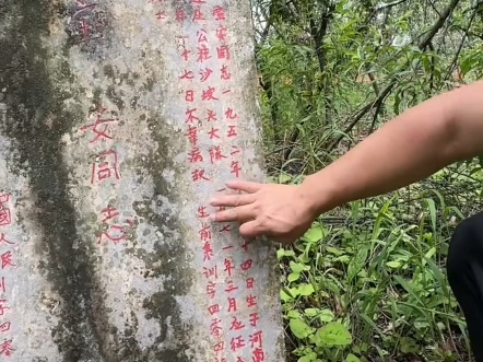 希望河南宜阳县的亲人可以看到视频,他在这里等了53年. 希望每位烈士英雄都能找到自己的家人#洛阳 #宜阳哔哩哔哩bilibili