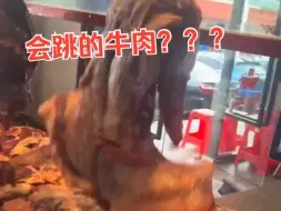 Download Video: 会跳舞的牛肉，真害怕它下一秒就逃跑了。网友：要不还是放生了吧？